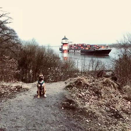 Elbblick-2